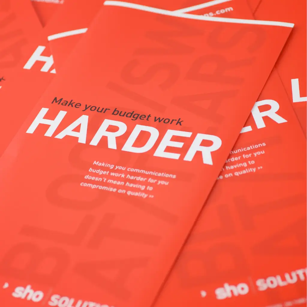 DL Leaflets (100pcs)